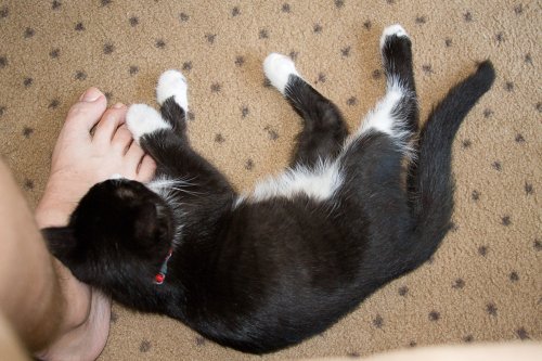 Misha_2008-07-10_IMG_0120